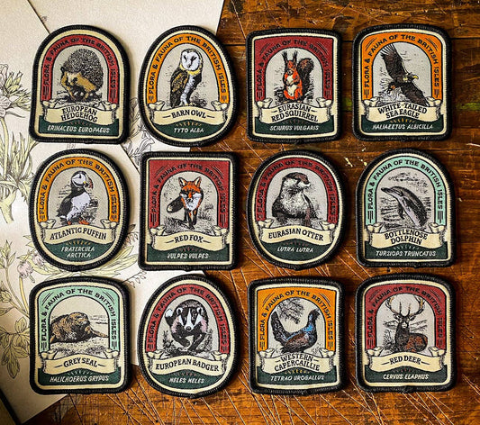 Eurasian Otter patch