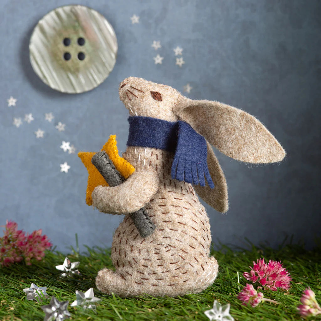Corinne Lapierre Greeting Card Prof. Hare Stargazer