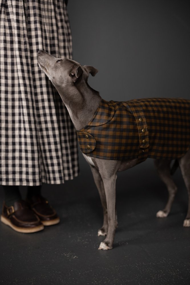 Merchant and Mills - DWELLING Gingham Organic Cotton Oilskin