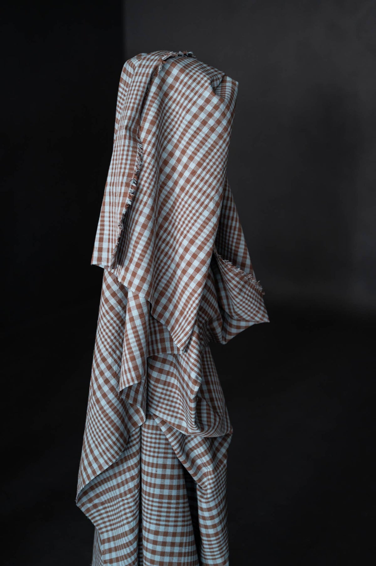Frankie Cotton/Linen Check