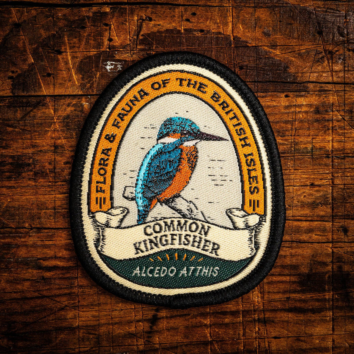 Common Kingfisher patch