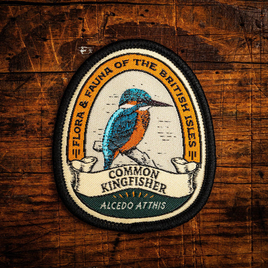 Common Kingfisher patch