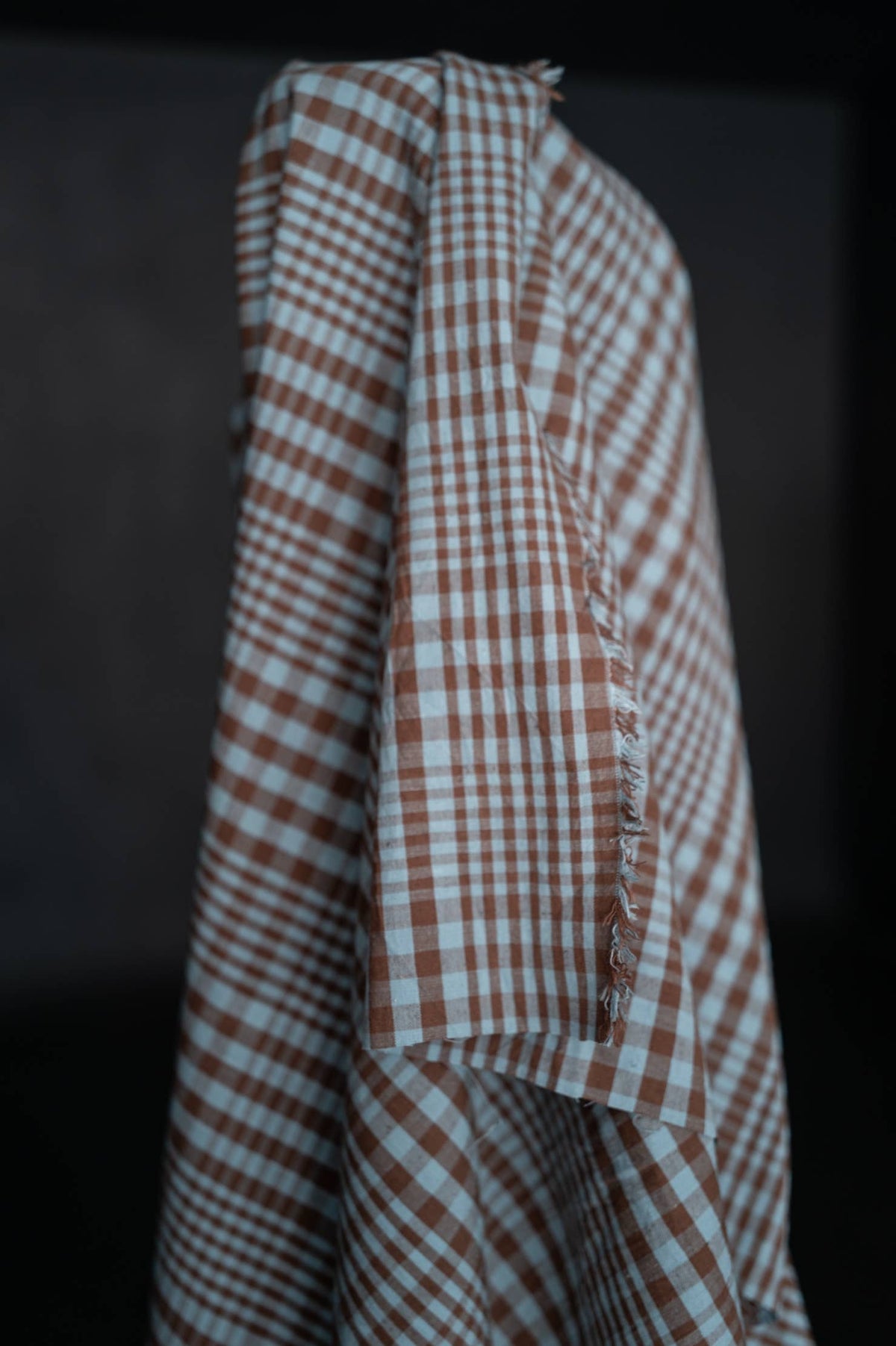 Frankie Cotton/Linen Check
