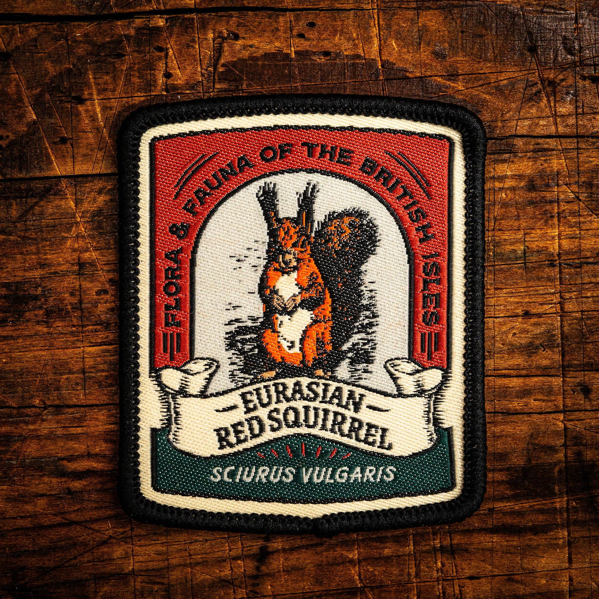 Eurasian Red Squirrel patch