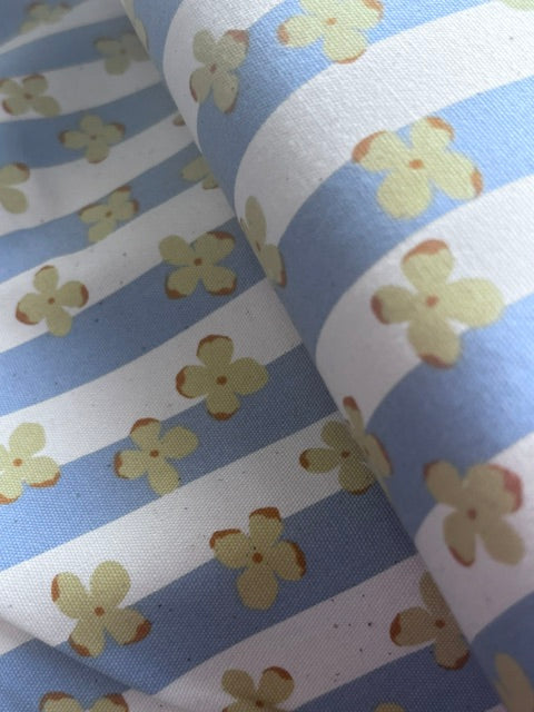 Cotton Oxford Cotton with natural cotton seeds blue
