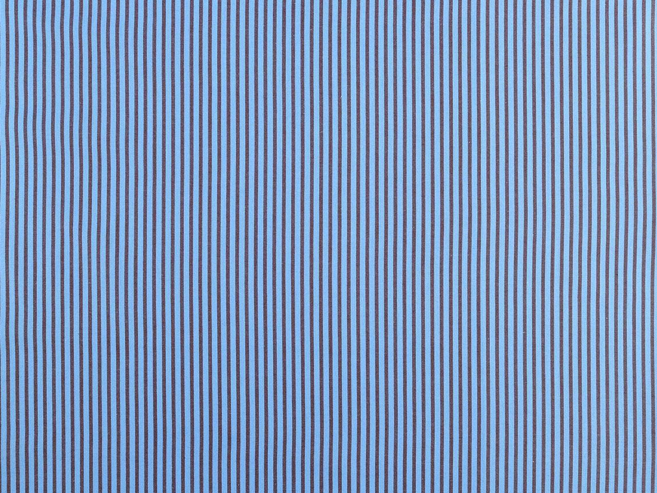 Oscar Stripe Cotton Poplin - Sky Blue