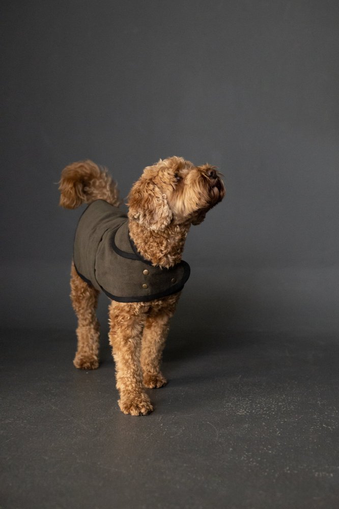 Merchant and Mills - Paper Sewing Pattern - The Barka