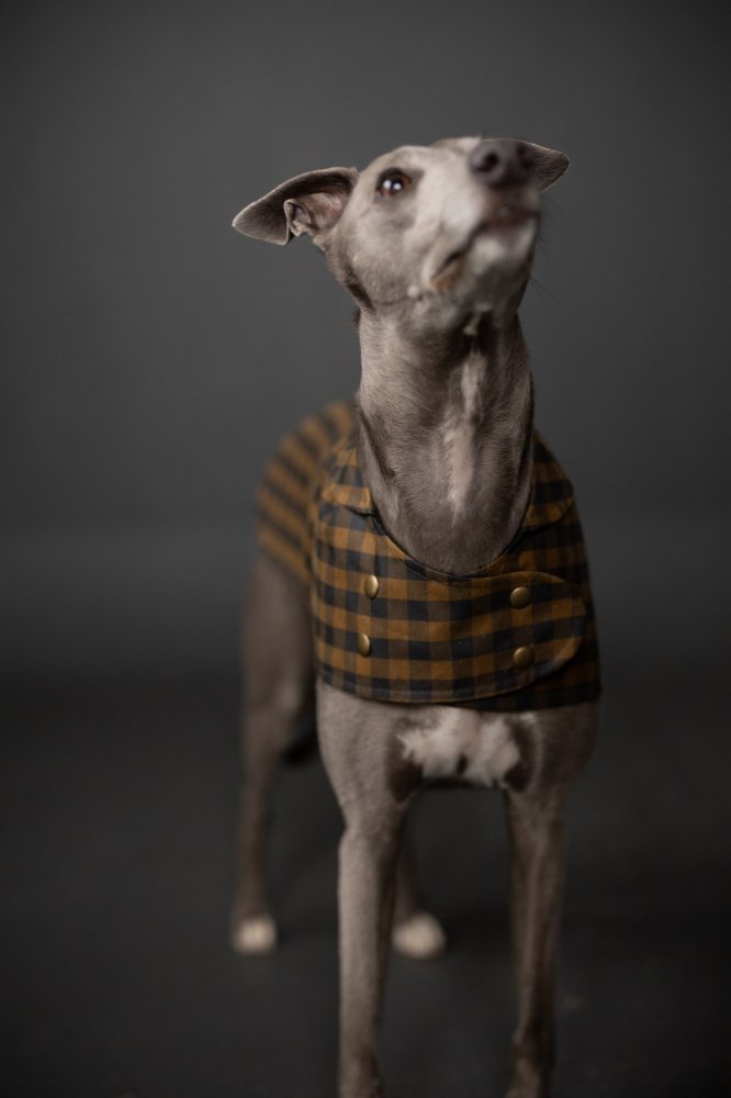 Merchant and Mills - Paper Sewing Pattern - The Barka