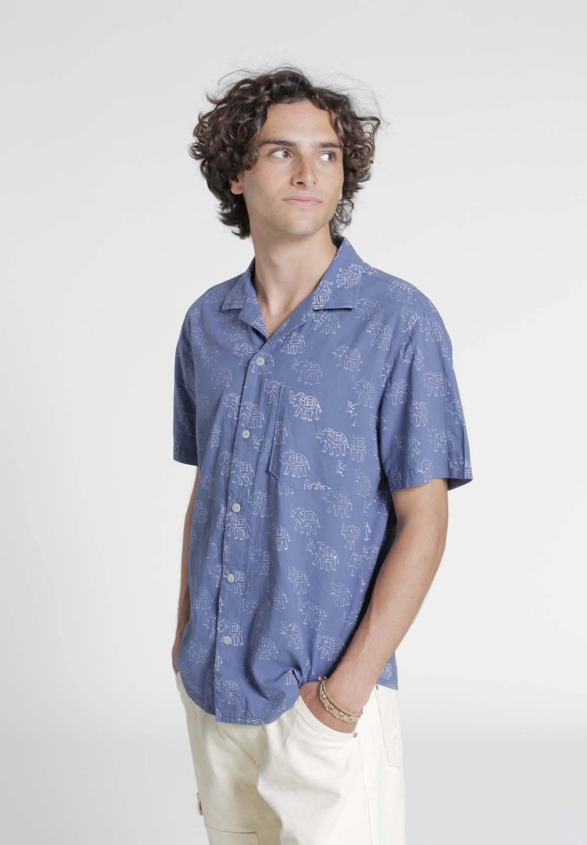 Tropical Shirt Pattern By Wardrobe By Me