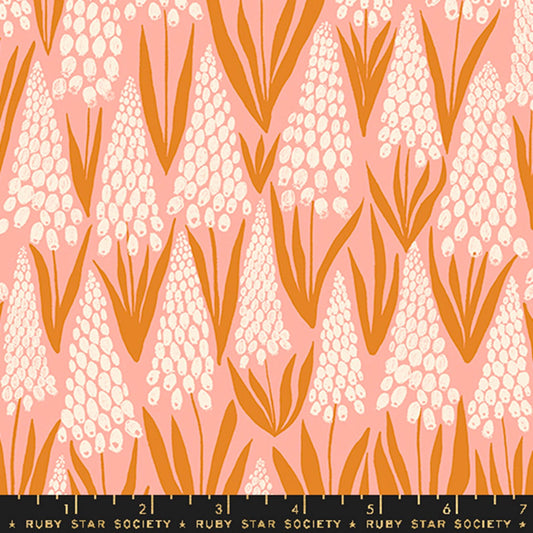 Ruby Star Society - Endpaper
