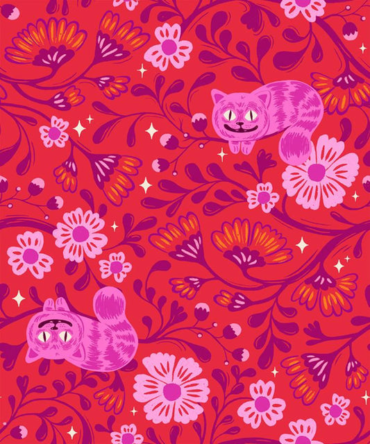Ruby Star Society - Hello Alice by Sarah Watts